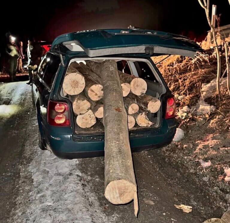 Passat transformat în „autoutilitară”. 3 metri cubi de lemn, transportați ilegal din fondul forestier