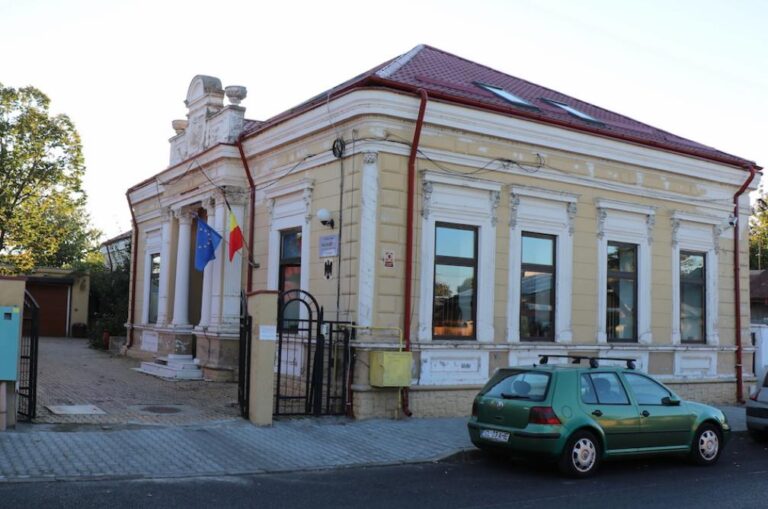 Minor de 14 ani, cercetat de procurorii din Călărași după ce ar fi încurajat uciderea a doi pui de câine și a filmat scena