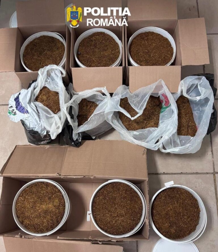 Aproape 10 kilograme de tutun ilegal, descoperite în mașina unei femei din Fundeni. Polițiștii au deschis dosar penal