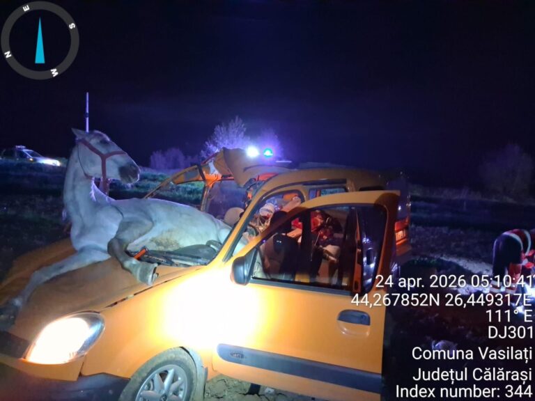 74 de intervenții în doar trei zile pentru pompierii din Călărași. Un bărbat a murit într-un incendiu la Roseți