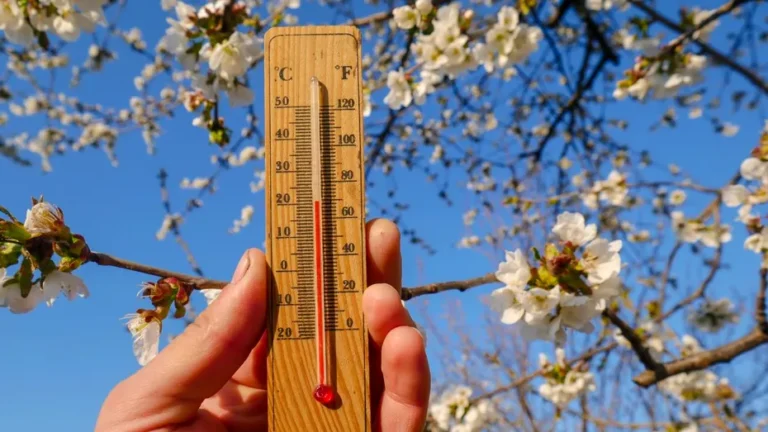 Vreme frumoasă în Călărași în weekend. Soare astăzi și temperaturi mai ridicate mâine